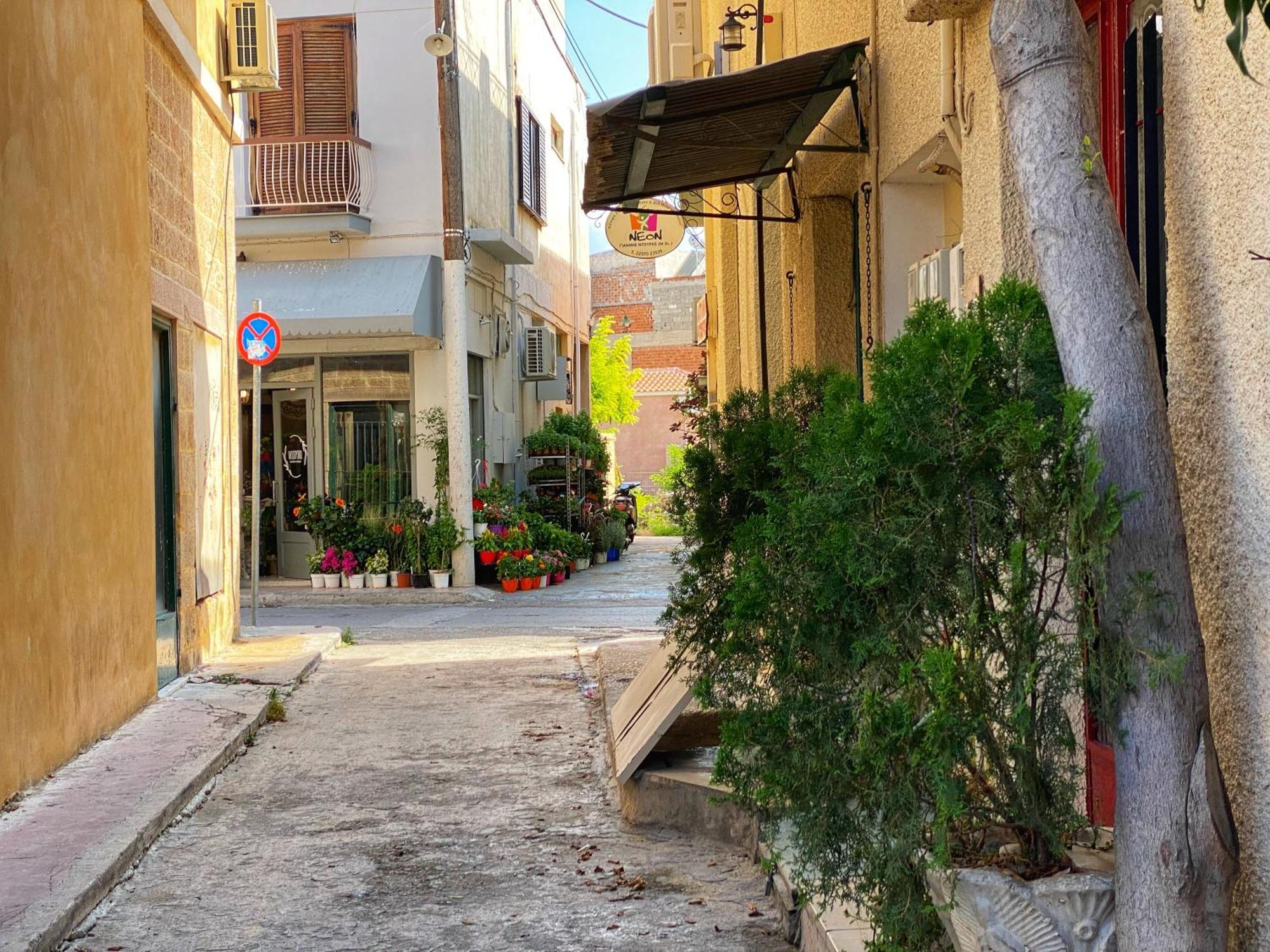Nasos Aegina Apartment Екстериор снимка
